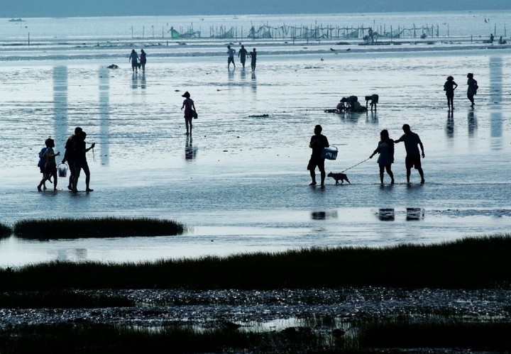 高美湿地