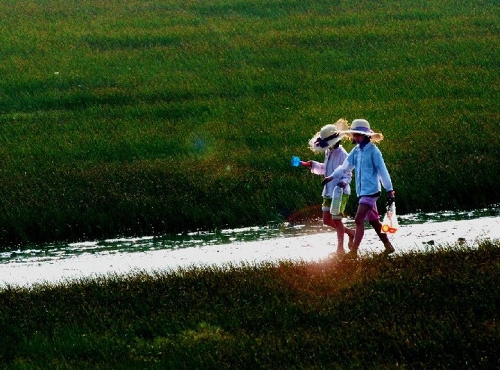 高美湿地