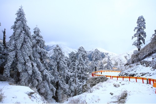 大雪覆盖的雪山