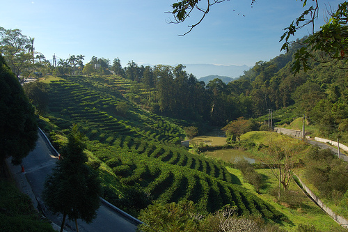 日月潭猫囒山自然步道