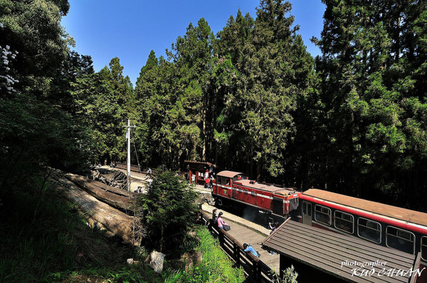 阿里山森林铁路