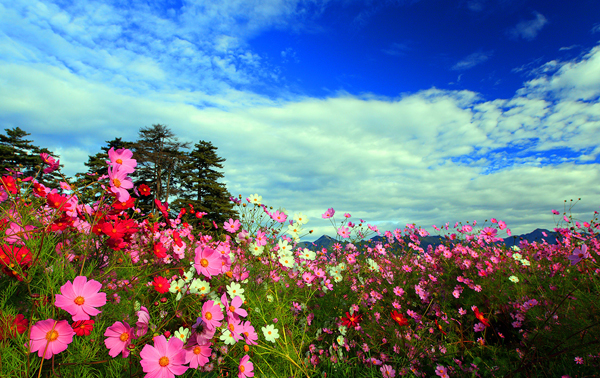 福寿山农场