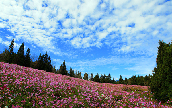 福寿山农场